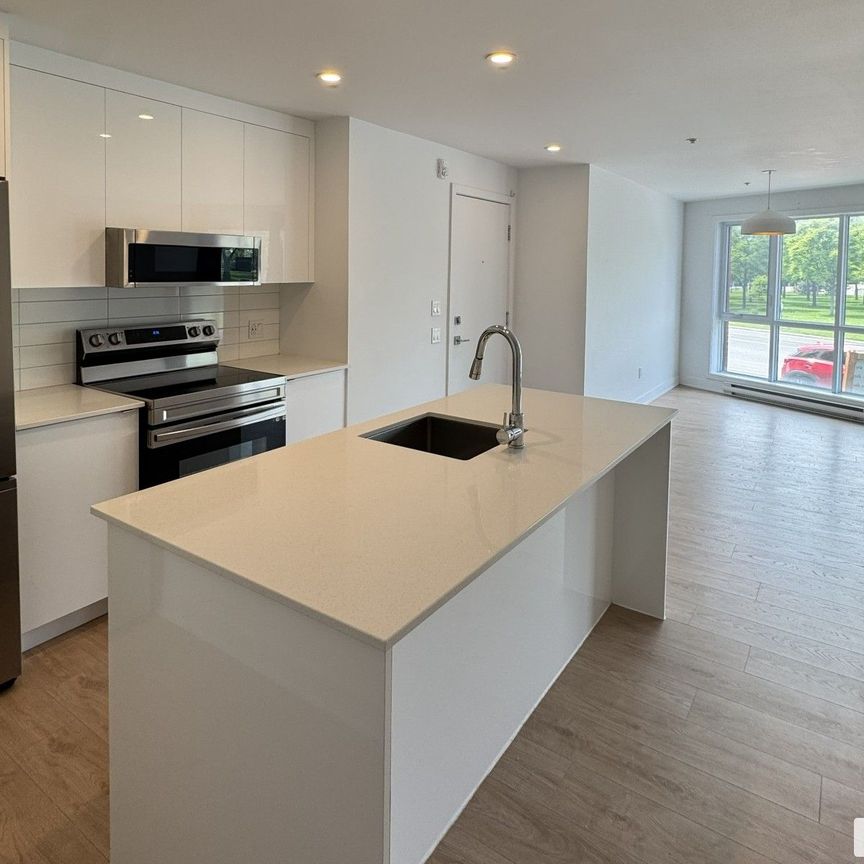 8435, rue Boyer, Ville-Marie (Centre-Ville et Vieux-Montréal) à louer - Photo 1