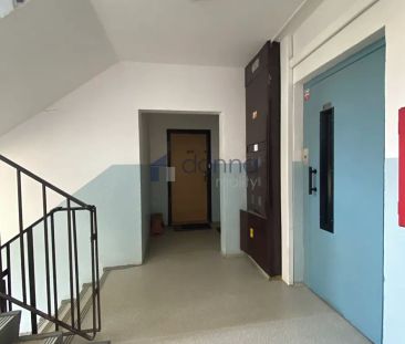 Pronájem bytu 1+kk 29 m² - Photo 3