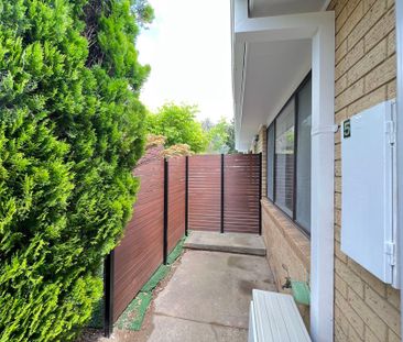 5a Stumm Place, Latham - Photo 6