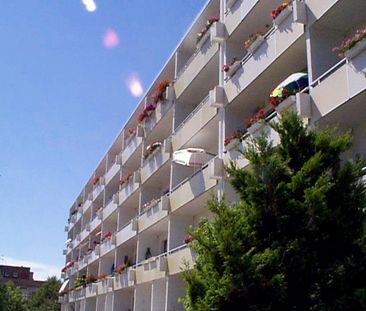 Wohnungsangebot Hans-Grade-Straße 75 - Photo 1