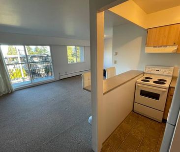 Metrotown | Bright, Upper Floor Bachelor with Patio - Photo 1