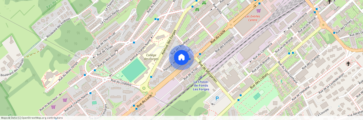 2300, La Chaux-de-Fonds, Rue du Locle, 28