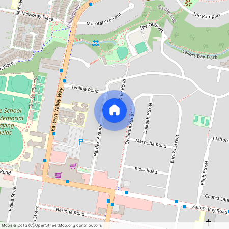 29B Harden Avenue, NSW 2063, Northbridge