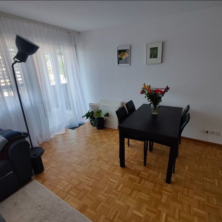 Renovierte 4.5 Zimmerwohnung an zentraler Lage - Photo 1