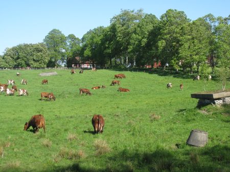 Klockargården, Hasselfors - Foto 5