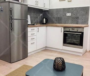 Irányi utca | Property for Long Term Rent in Budapest - Photo 4