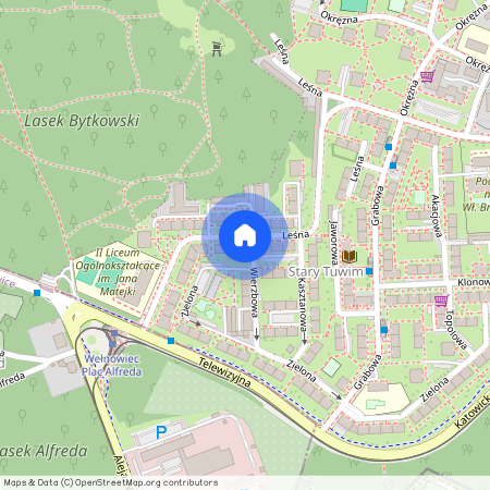 ul. Leśna, Centrum, Siemianowice Śląskie, śląskie