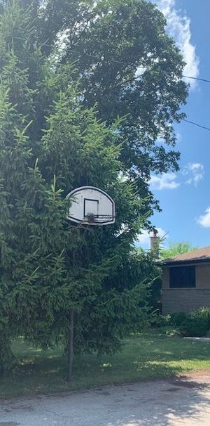 For Lease - 1393 Selkirk Avenue Unit# Lower 1, Oakville, Ontario - Photo 1