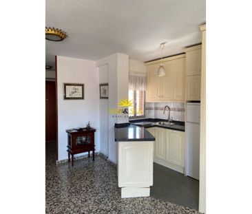 APARTMENT FOR RENT, 1 BEDROOM AND 1 BATHROOM IN BENIDORM - ALICANTE - Photo 3