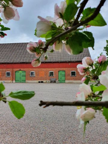 Olma Gård, Svalöv - Photo 4