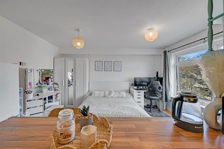 Studio To Let - Photo 4