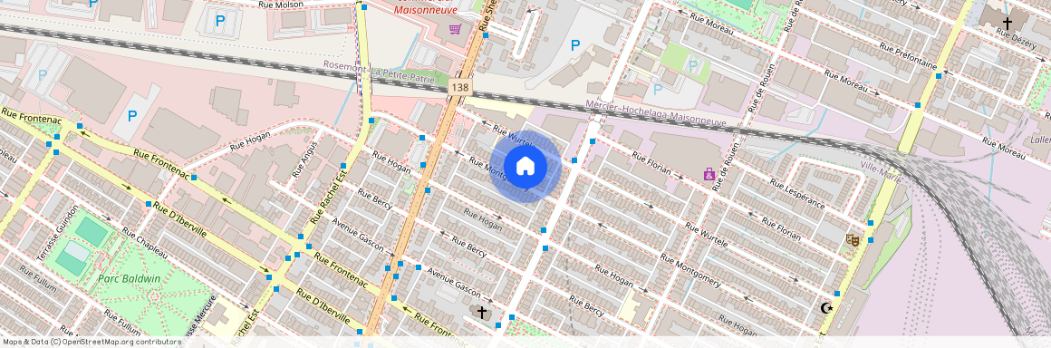 2555 Rue Montgomery, Ville-Marie, Montréal