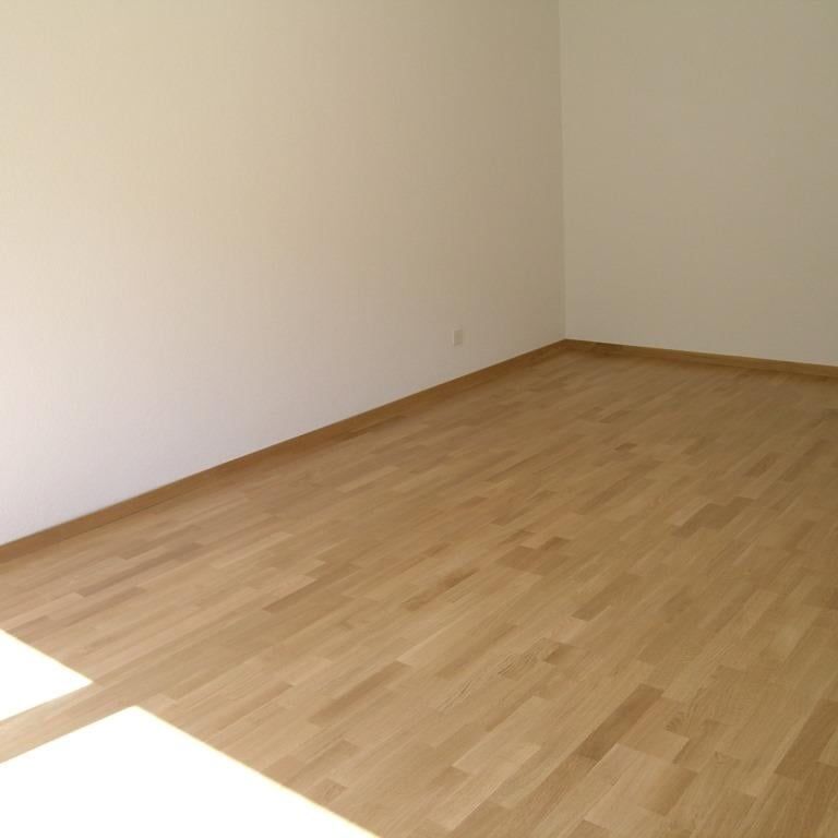 3 Zimmer, 65 m², 1. Stock - Foto 1