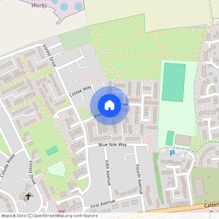 Peppermint Drive, Colburn