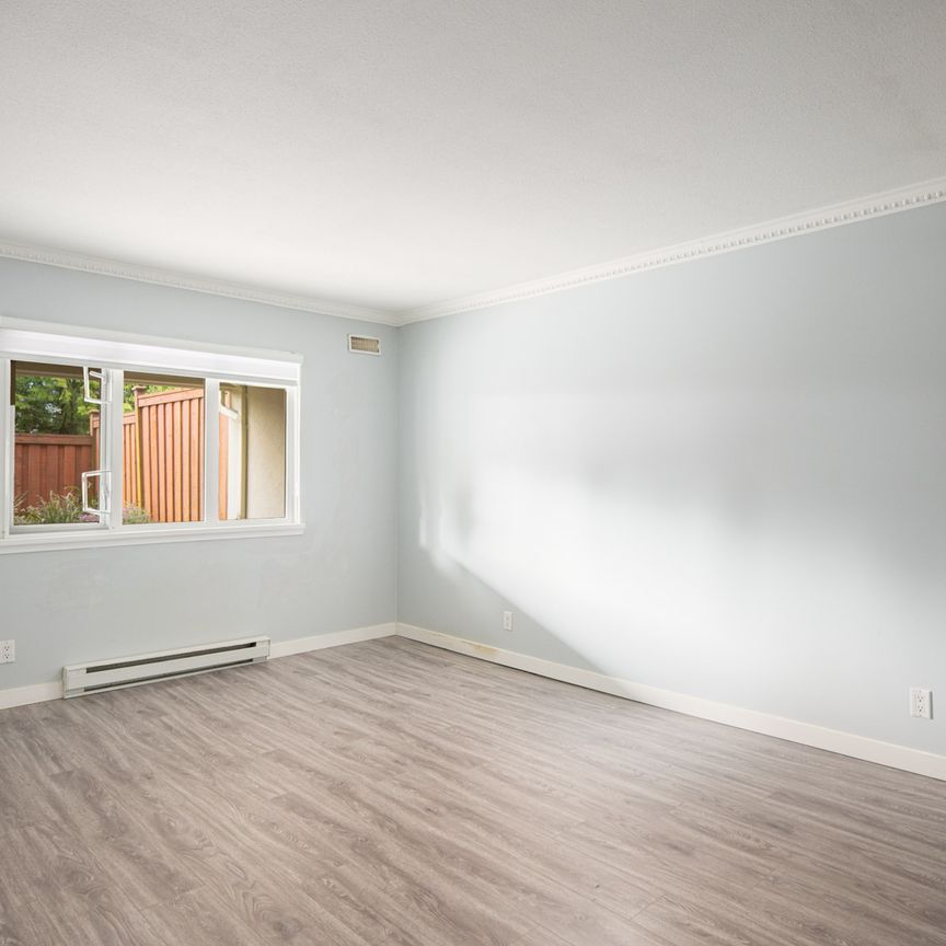 501 Cochrane Ave (1st Floor), Coquitlam - Photo 1