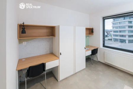 Pronájem moderního bytu 1+kk (Standard) u Vaňkovky – BEZ PROVIZE! - Photo 5