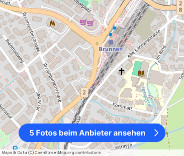 4.5 Zimmer, 116 m² - Foto 1