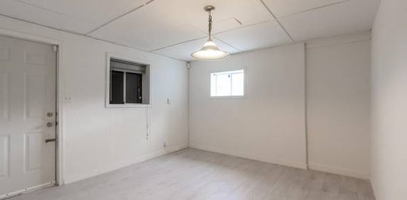 spacious 1 bedroom basement suite - Photo 2