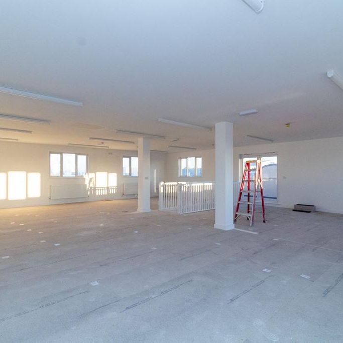 Mixed use to rent - Photo 1