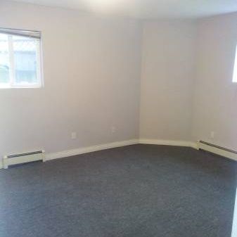 2 bedroom/1 bathroom basement suite(139 street & 58A Ave). - Photo 4