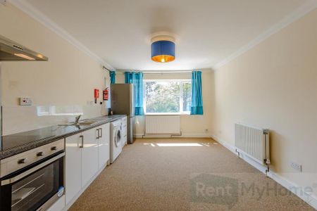 1 bedroom flat to rent - Photo 5
