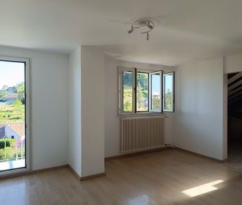 À louer / Appartement F2 / BESANCON CHALEZEULE 49 rue de Chalezeule - Photo 1