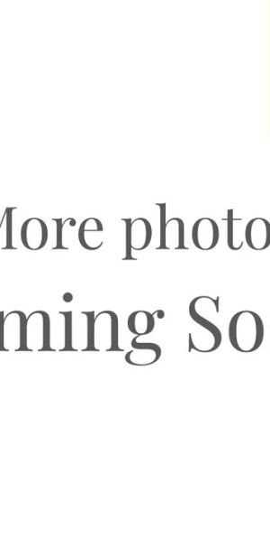 Freshly renovated 3 bedroom home - Photo 1