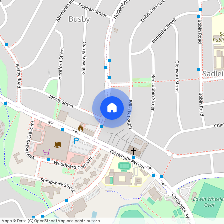 15 Heckenberg Avenue, Sadleir NSW 2168