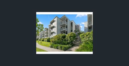 8 Starling, Buderim, Qld 4556 - Photo 4