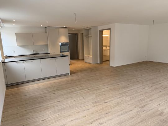 Erstvermietung: Grosszügige 2.5-Zimmer-Wohnung im Ersatzneubau, Winter - Photo 1