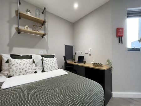 Silver Studio - Photo 5