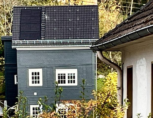 Charmante, sanierte Wohnung in antikem Stadthaus, Zentrum, Garten - Foto 1