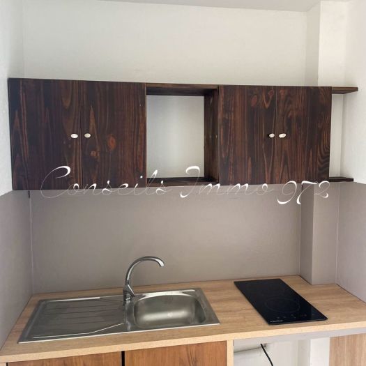 Studio à louer Fort-de-France (Chateaubœuf) 20 m2 Balcon - Photo 1