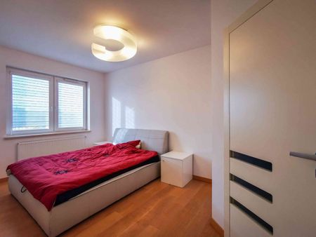 Apartament na wynajem, Częstochowa, Parkitka, dwa garaże – Wyłączność - Photo 5
