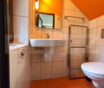 Casa curte comuna , Ultracentral - Fotografie 4