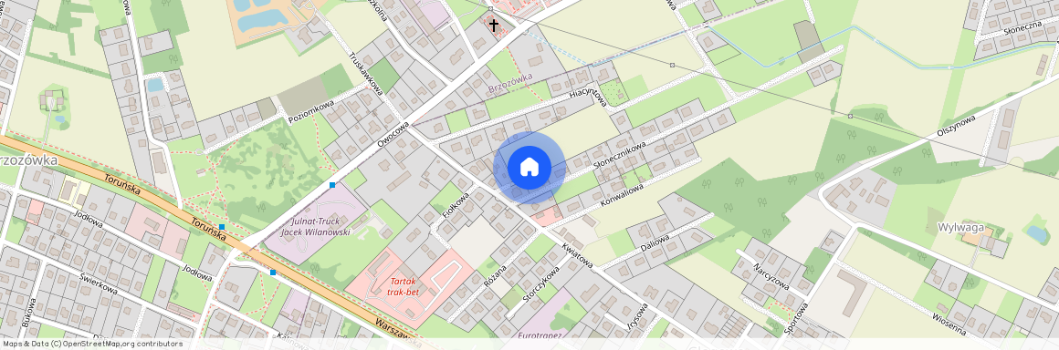 Głogowo, Obrowo, toruński, kujawsko-pomorskie, Brzozówka