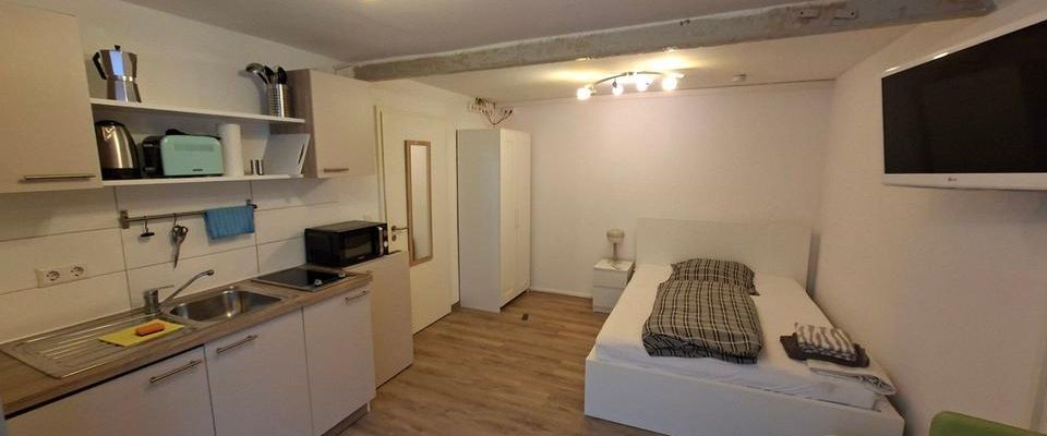 Gemütliche 1-Zimmer-Wohnung im renovierten Bauernhaus - Foto 1