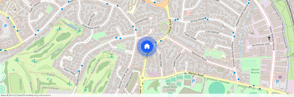 61 College Road, Saint Johns, Auckland City