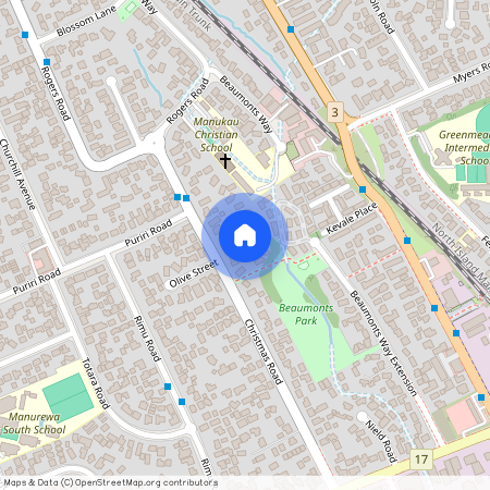 47 Christmas Road, Manurewa, Manukau City