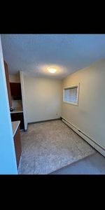 1 Bed/1 Bath Apartment - Photo 3