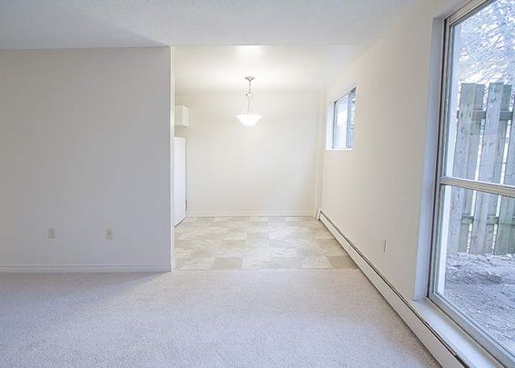 Springbank Gardens - Photo 1