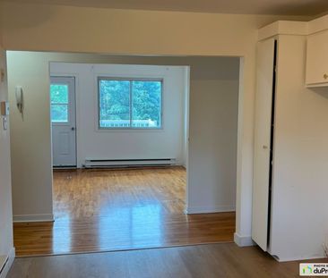 4-351, rue St-Laurant O, Longueuil (Vieux-Longueuil) à louer - Photo 5