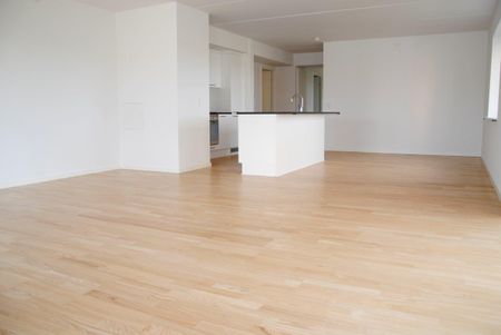 Møgelparken - Photo 4