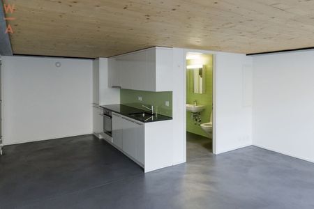 Beautiful loft at the Route du Jura - Photo 3