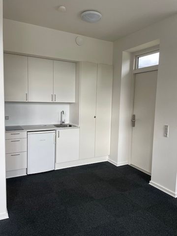 Dejlig 1-værelses lejemål i Ringe - Foto 2