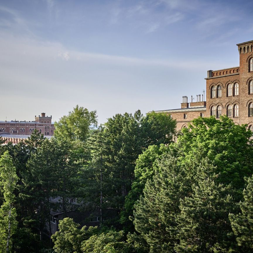 Wohnen mit Aussicht: Maisonette im Dachgeschoss - Foto 1