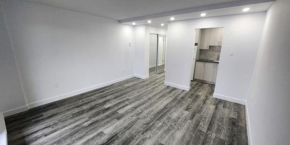 1 CH - 1 SDB - Montréal - $1,250 /mo - Photo 3