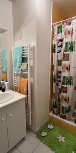 Location Appartement 2 pièces 45m² LA VILLE AUX DAMES 37700 - Photo 4