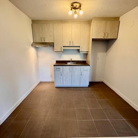 SUPERBE 3 1/2 RÉNOVÉ TOUT BÉTON - À VOIR! - Photo 1