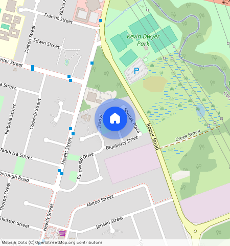 6 Orchid Close Colyton